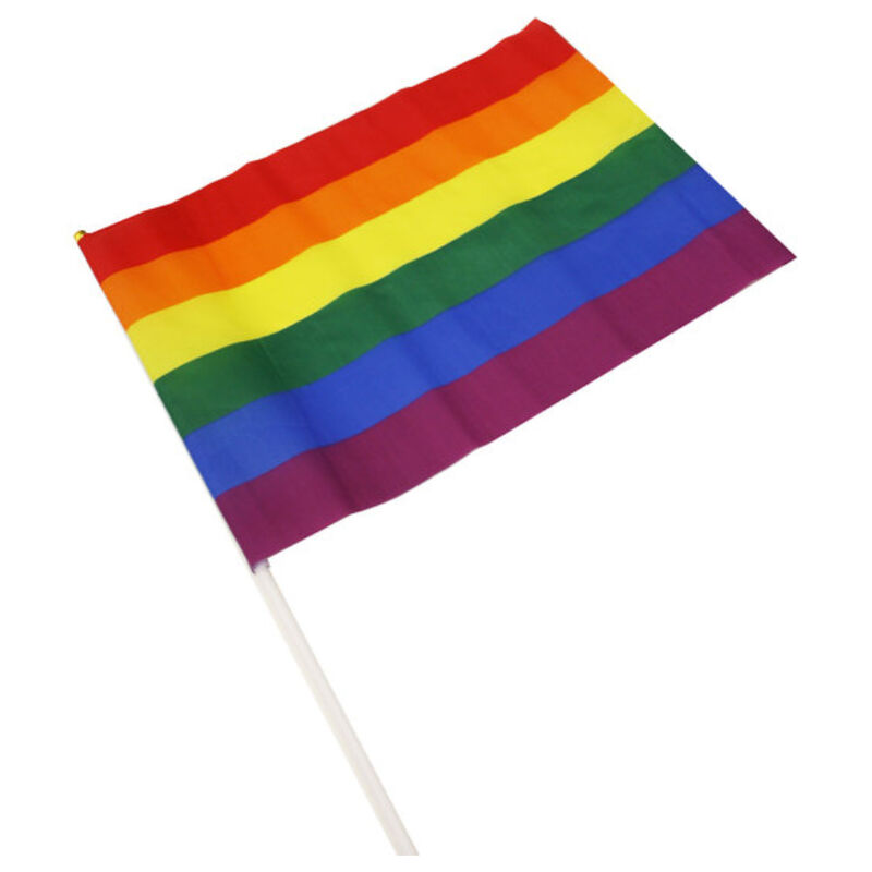 Drapeau couleur LGBT 43 par 31 cm - PRIDE