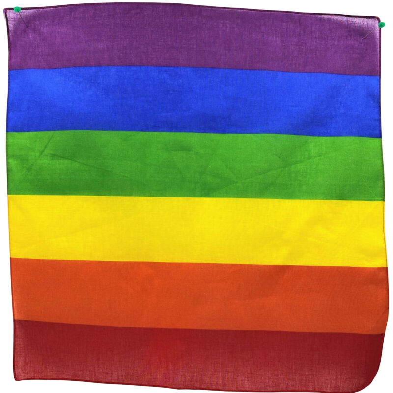 Écharpe en nylon couleur LGBT 0.50 par 0.50 cm - PRIDE