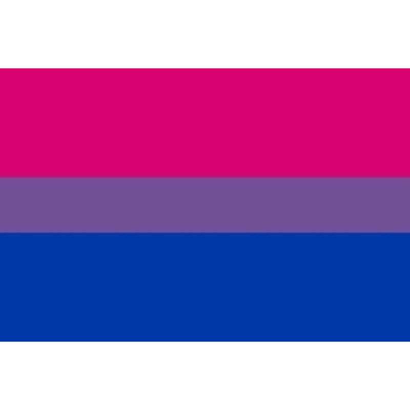 Drapeau couleur Bisexuel 90 par 150 cm - PRIDE