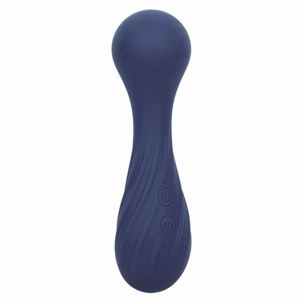 Mini vibromasseur Wand Charisma Temptation violet - CALIFORNIA EXOTICS