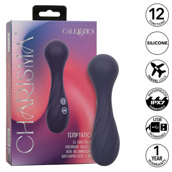 Mini vibromasseur Wand Charisma Temptation violet - CALIFORNIA EXOTICS