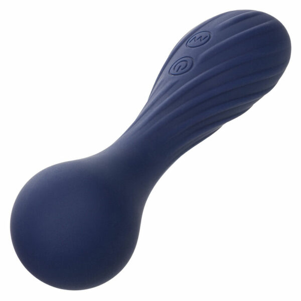 Mini vibromasseur Wand Charisma Temptation violet - CALIFORNIA EXOTICS